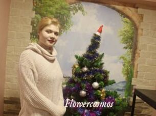 Flowercosmos
