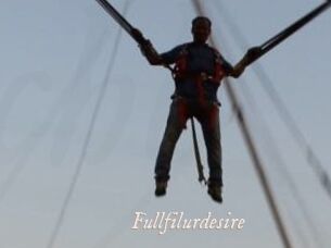 Fullfilurdesire