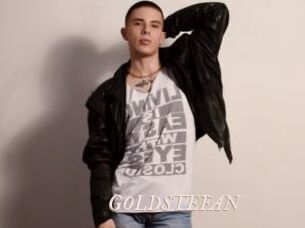 GOLDSTEFAN