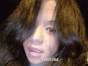Gattina