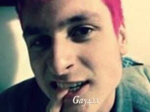 Gay411