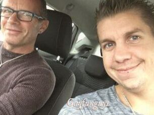Gayfunguys