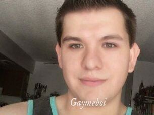 Gaymeboi
