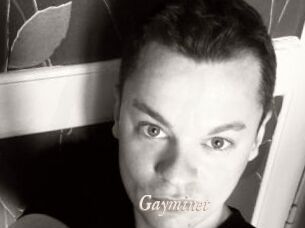 Gayminet