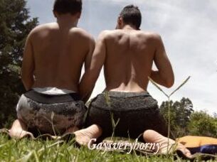 Gaysveryhorny