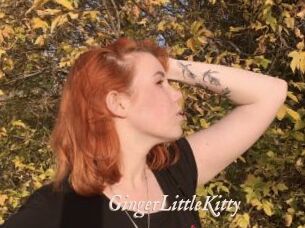 GingerLittleKitty