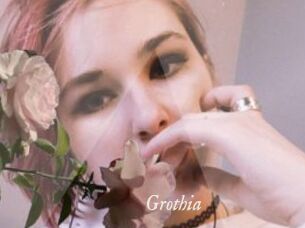 Grothia