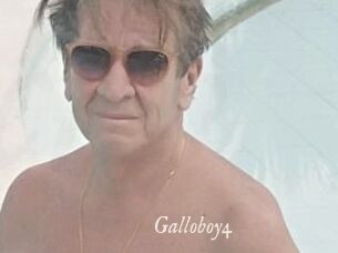 Galloboy4