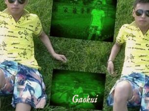 Gaokui