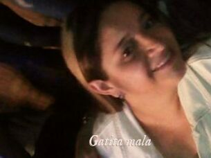 Gatita_mala