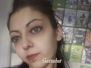 Gattahot