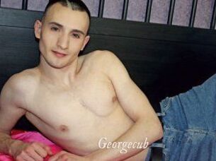 Georgecub