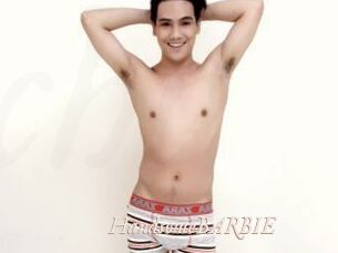 HandsomeBARBIE