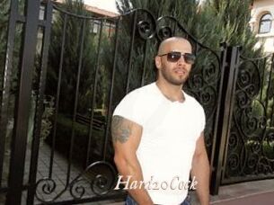Hard20Cock