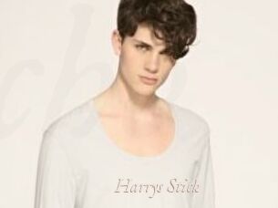 Harrys_Stick