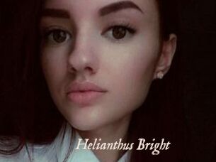 Helianthus_Bright