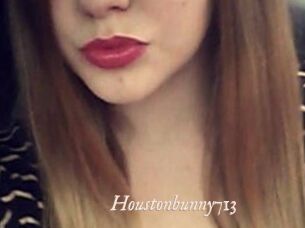 Houstonbunny713