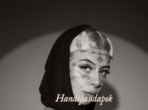 Handipandapok