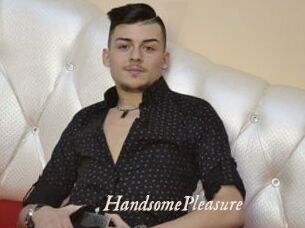 HandsomePleasure