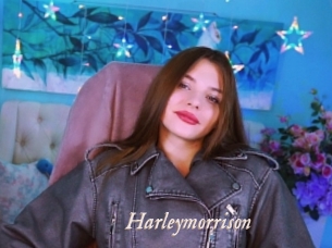 Harleymorrison