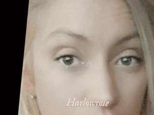 Harlowrose