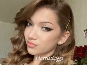 Harrietbagge