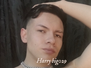 Harry_big029
