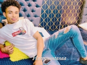 Harrymontanaa