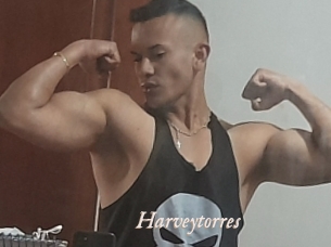 Harveytorres