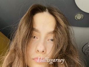 Hollisgarney