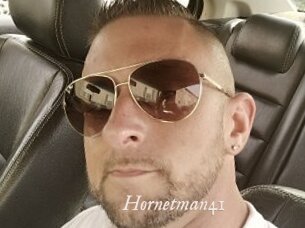 Hornetman41