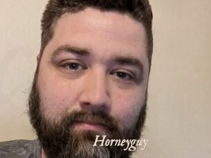 Horneyguy