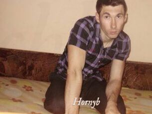 Hornyb
