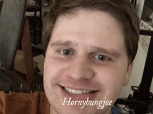 Hornyhungjoe