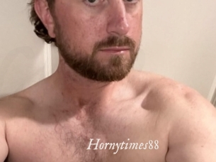 Hornytimes88