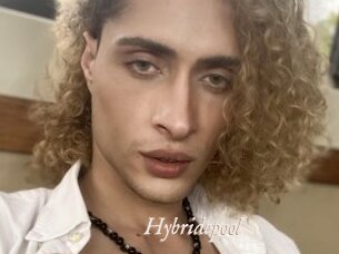 Hybridepool