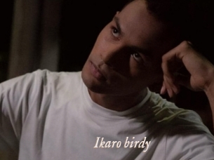 Ikaro_birdy