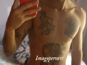 Imagopervert