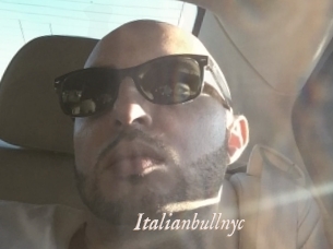 Italianbullnyc