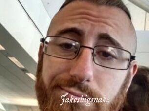 Jakesbigsnake