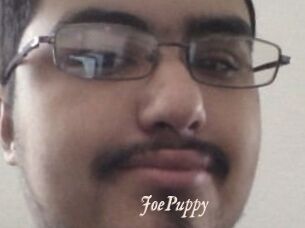 JoePuppy