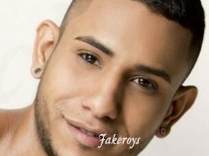 Jakeroys