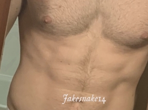 Jakesnake14