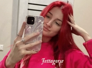 Jettagorse