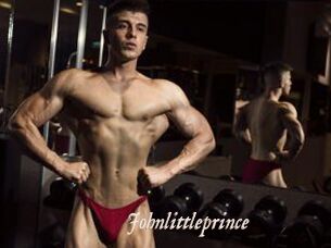 Johnlittleprince