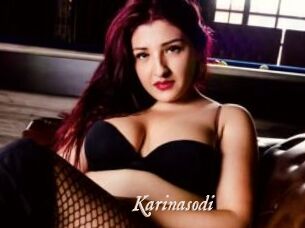 Karinasodi