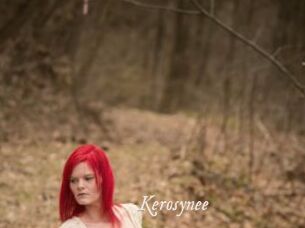 Kerosynee