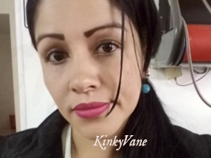 KinkyVane