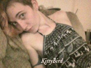 KittyBird