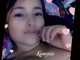Kamytits
